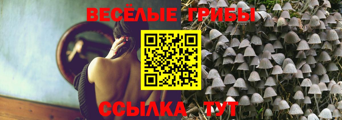Псилоцибиновые грибы мицелий  Вход с VPN  Жигулёвск 