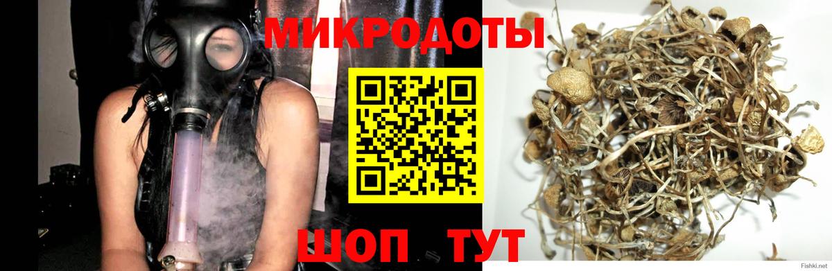 Галлюциногенные грибы MAGIC MUSHROOMS Жигулёвск
